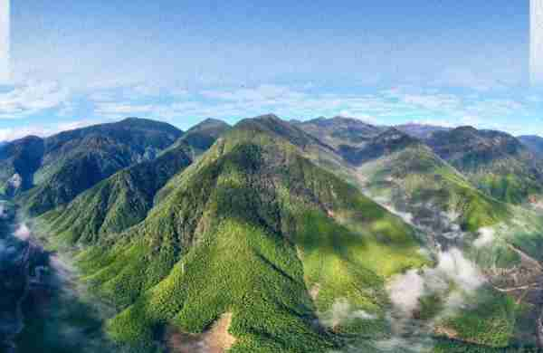 චීනයේ ජාතික වනෝද්‍යාන නීතිය 2026 වසරේ ජනවාරි මස 01 වැනිදා සිට ක්‍රියාත්මකයි