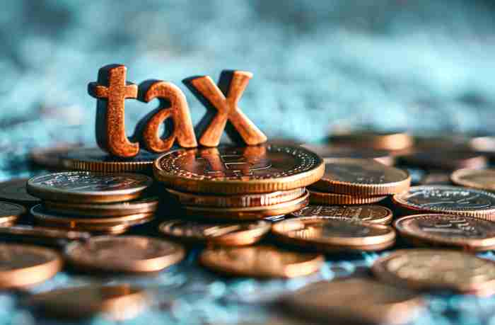 නිෂ්පාදන හා නවෝත්පාදන දිරිගැන්වීමට 2025දී චීන‍යෙන් විශාල ප්‍රමාණයක බදු හා ගාස්තු අඩු කිරීමක්